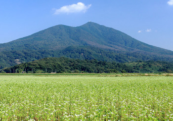 筑波山とソバ畑